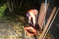 img-20161118-wa0011