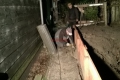 img-20170224-wa0001