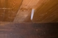 img-20170104-wa0001