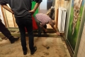 picture-8