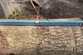 BANK_Boom-16