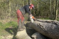 BANK_Boom-2