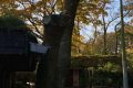 Afbeelding-van-WhatsApp-op-2024-10-26-om-14.38.08_877bdc86