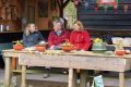 overzicht2-1