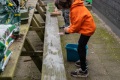 schoon-1