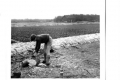 weekend19611