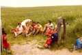 scannen0022