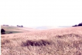 scannen0002