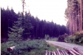 scannen0004