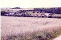 scannen0008