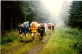 scannen0015