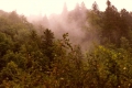 scannen0010