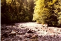 scannen0011