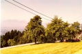 scannen0038