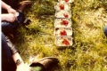 scannen0005