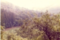 scannen0012