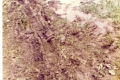 scannen0016