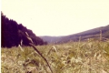 scannen0017