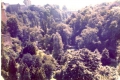 scannen0028