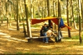 pict0004