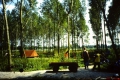 pict0031