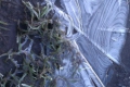 imag0757